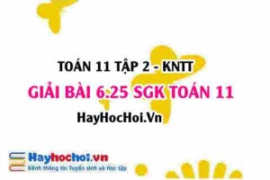 Bài 6.25 SGK Toán 11 Tập 2 Kết nối tri thức